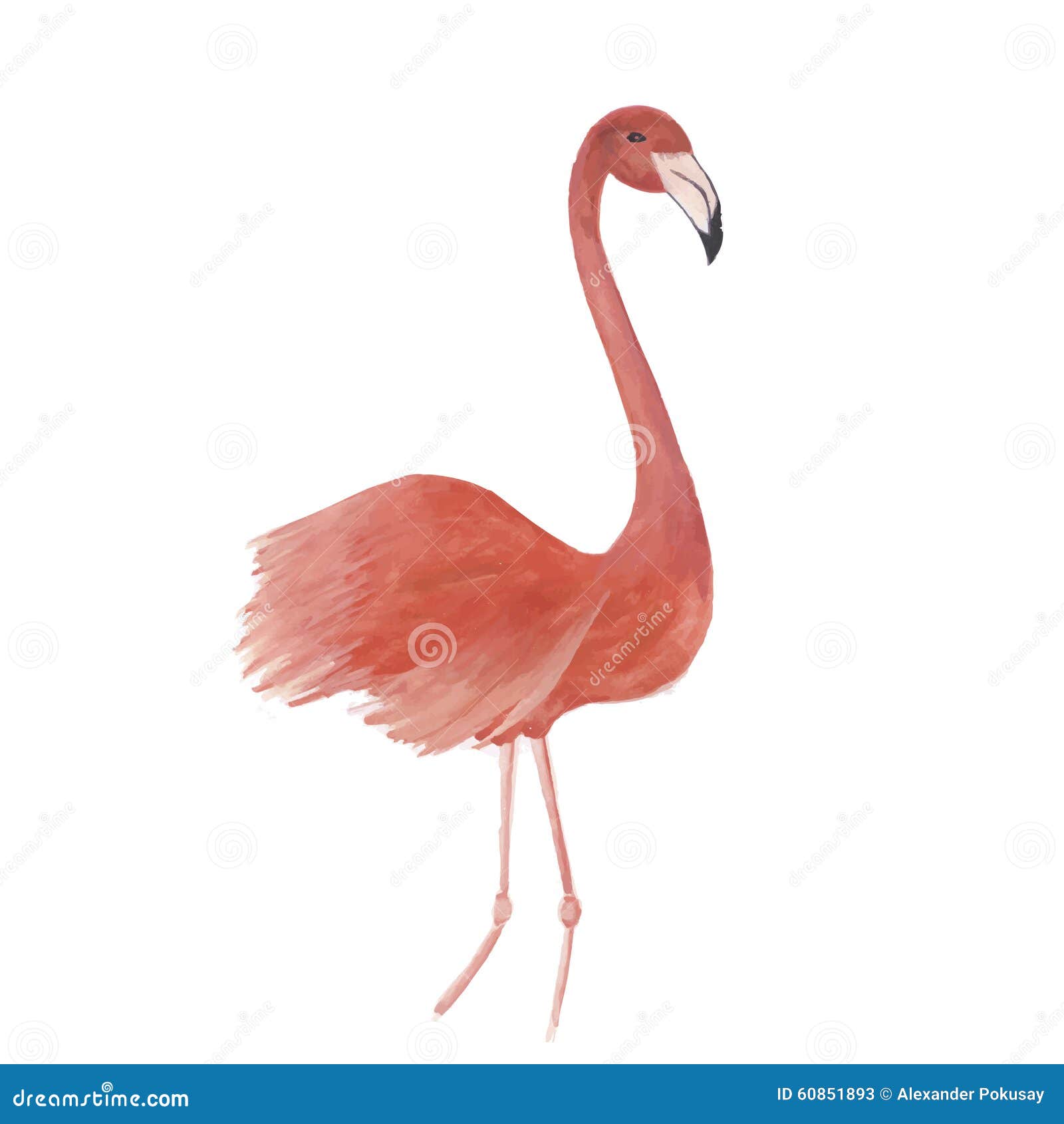 Download Flamingo Watercolor Bird Vector Stock Vector - Illustration of design, toucan: 60851893