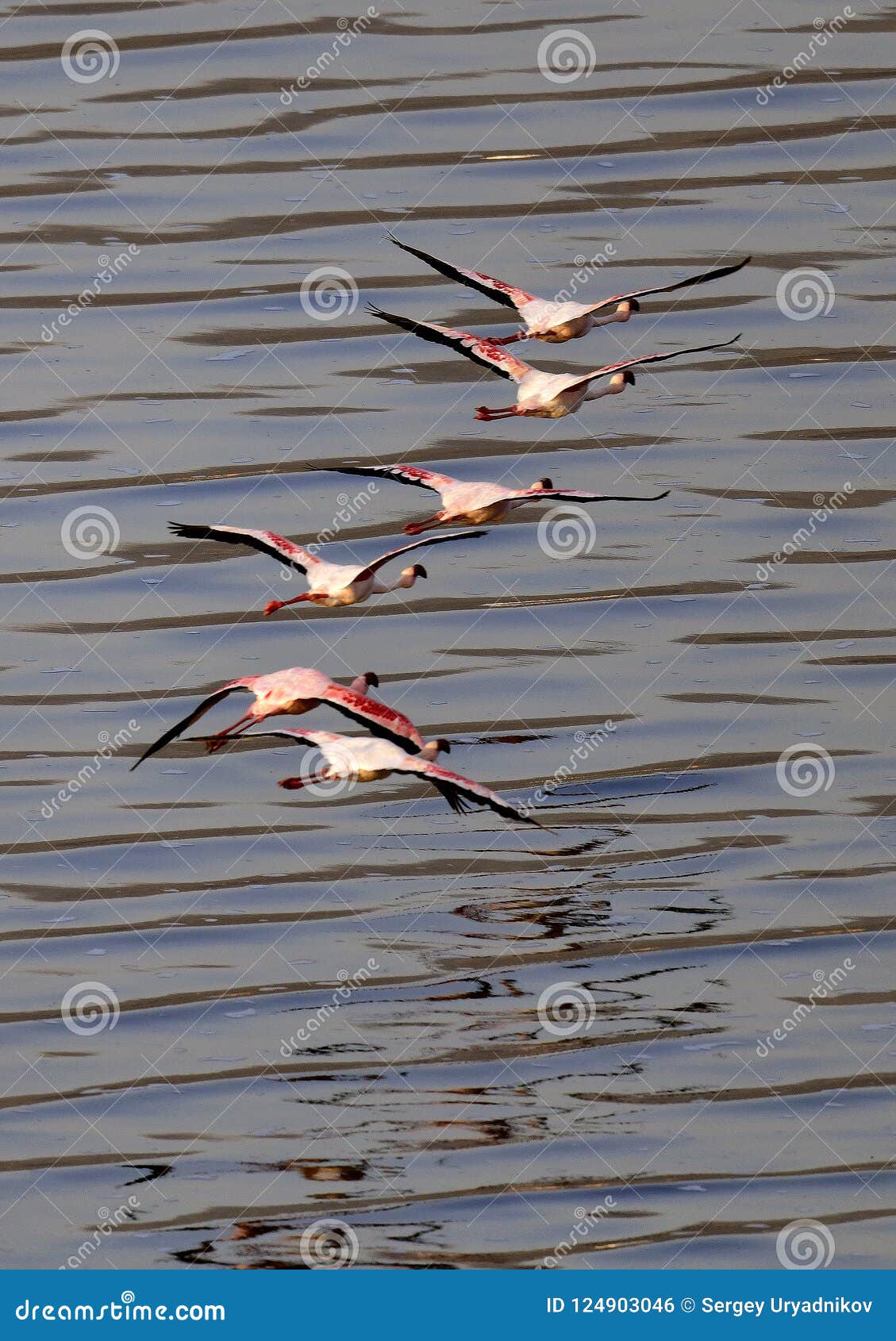 tanzania lake natron plane tanzania lake natron plane