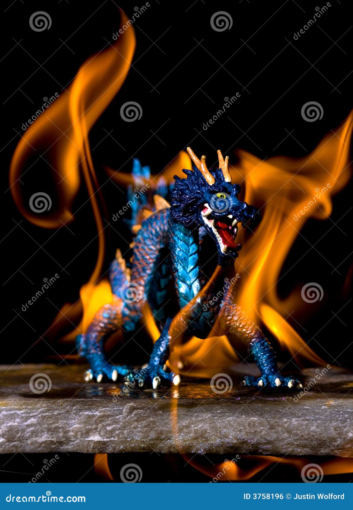 Flamme De Dragon Photo Stock Image Du Dragon Bleu Flamme