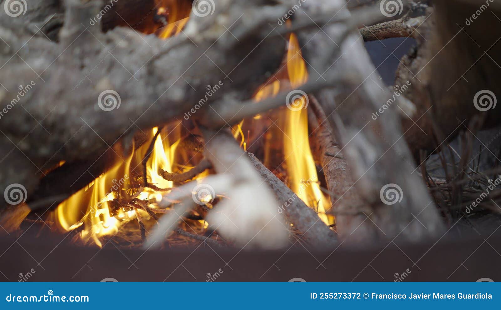 Das brennholz brennt mit einem orangefarbenen feuer im kamin