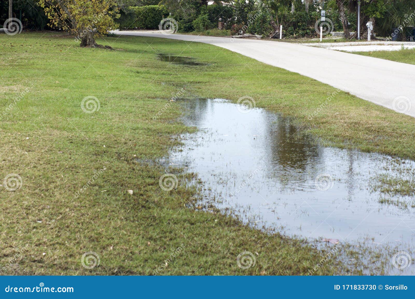flash flood in grassland at roadside in bonita springs florida