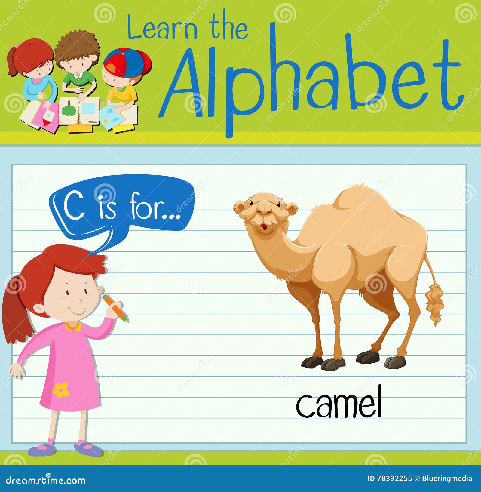 Flashcard Letter C is for Camel Stock Vector - Illustration of letters