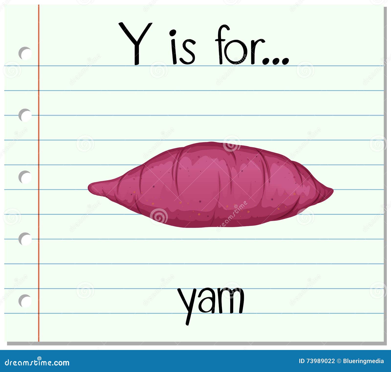 Flashcard Letter Y is for Yam Stock Vector Illustration of handwritten, kindergarten 73989022