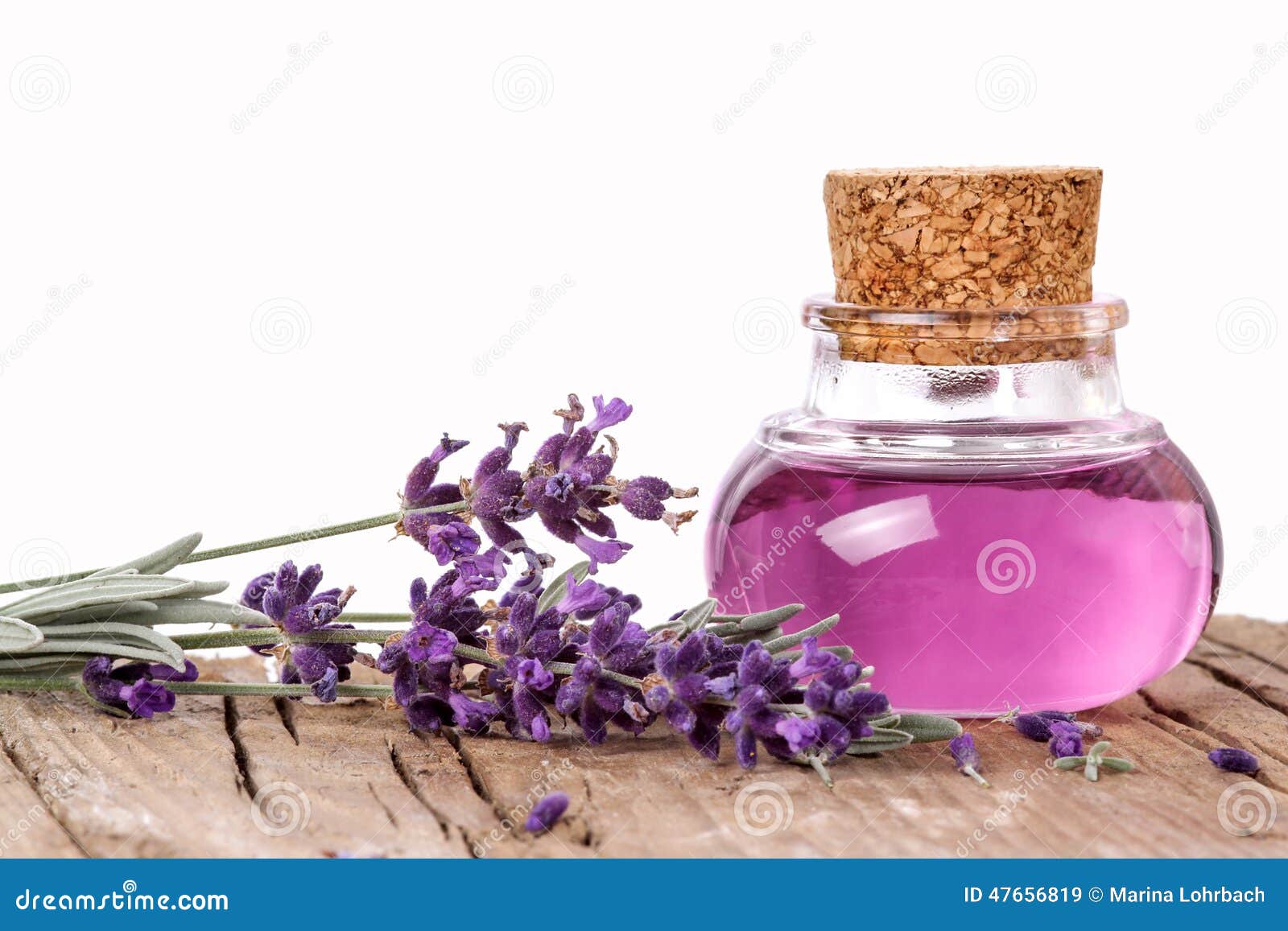 Flask with Lavender Essence Stock Image Image of homeopathy