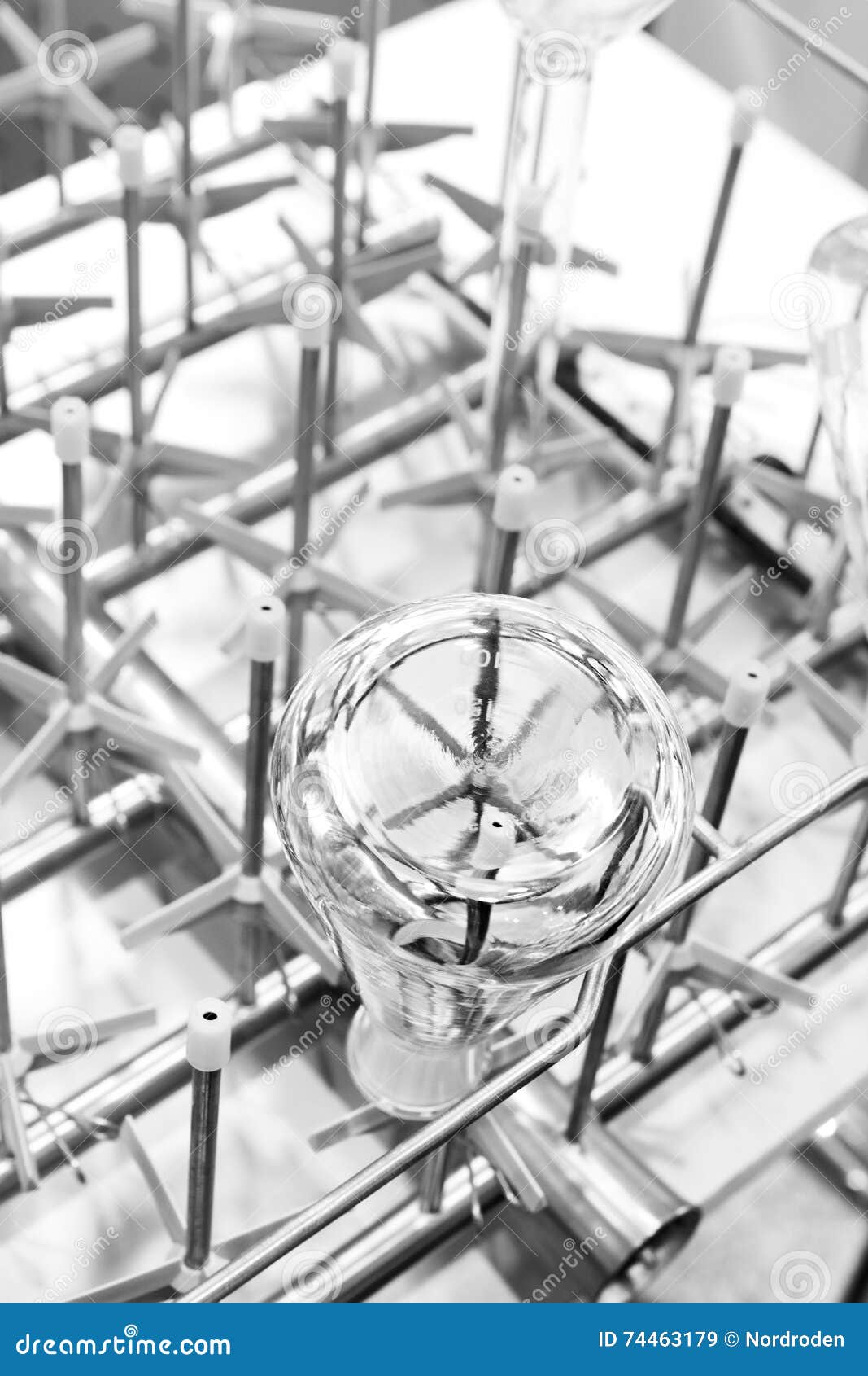 Flasks and Test Tubes Set in the Tray Industrial Dishwasher. Stock