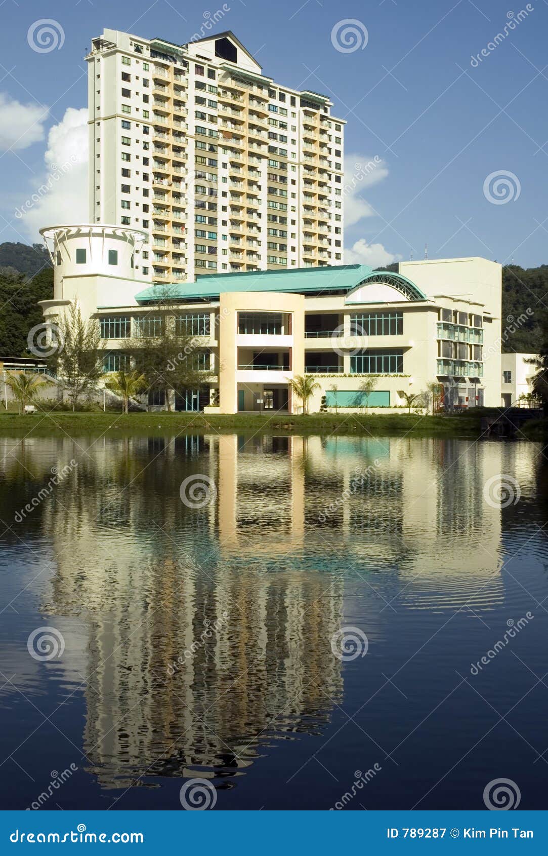 Flat stock afbeelding. Afbeelding bestaande uit bezit, stijging - 789287