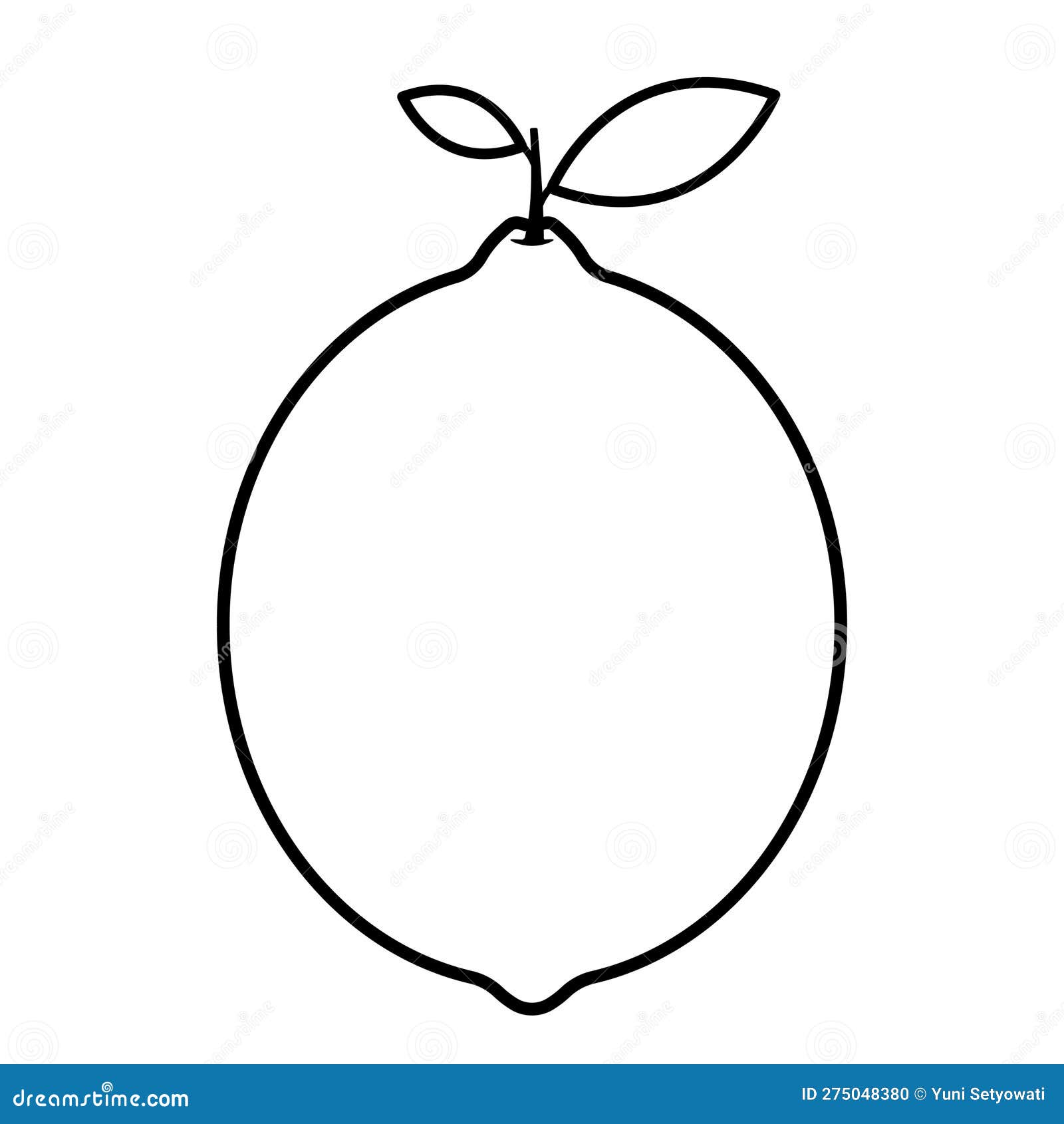 Lime Line Drawing Icon Fruit PNG Illustration Stock Photo - Illustration of  fruits, books: 275048380