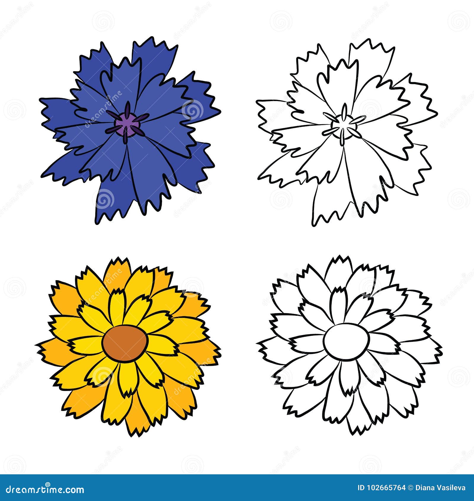 Vector Flat Drawings of Cornflower and Calendula Stock Vector