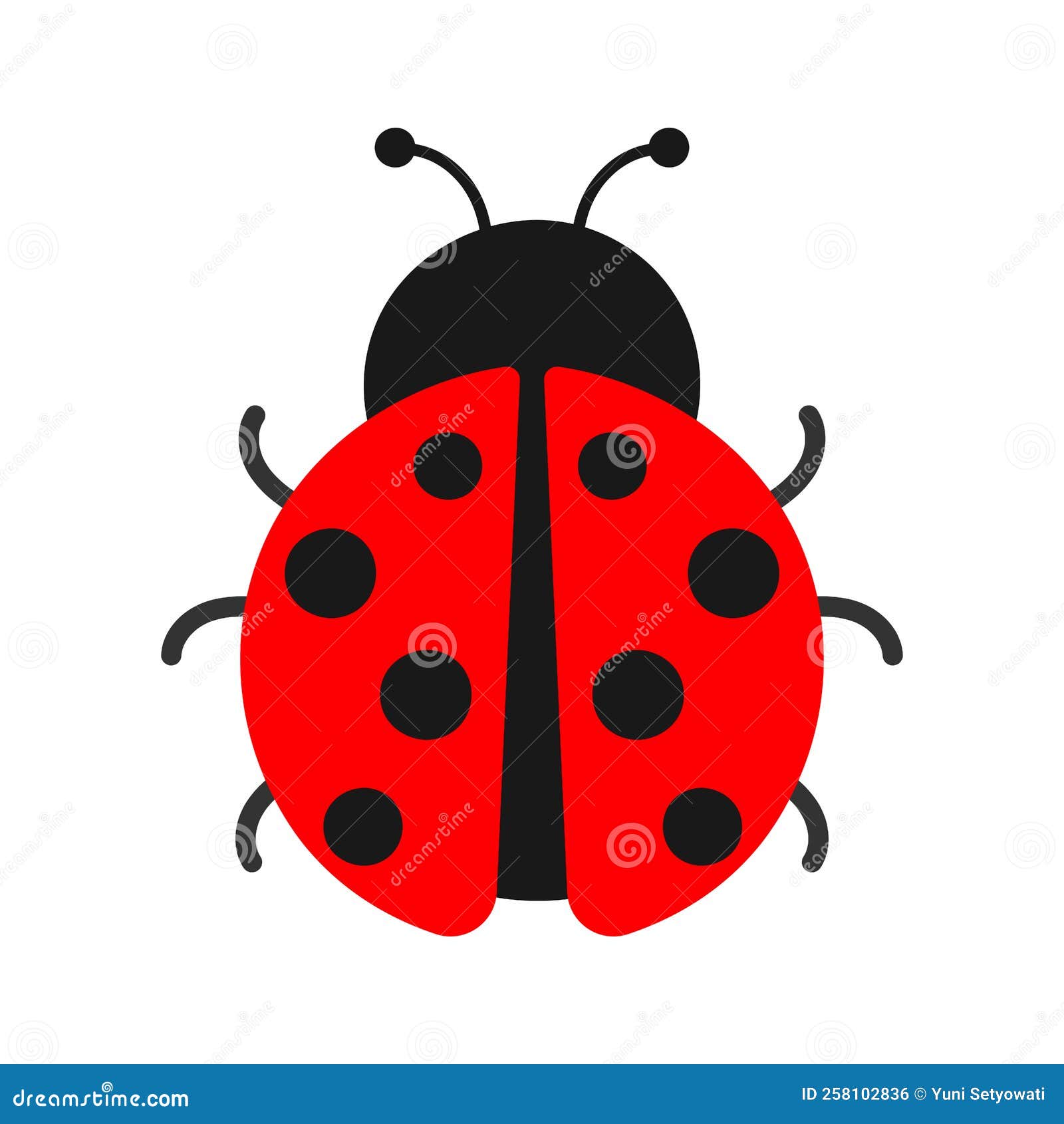 Ladybug png images