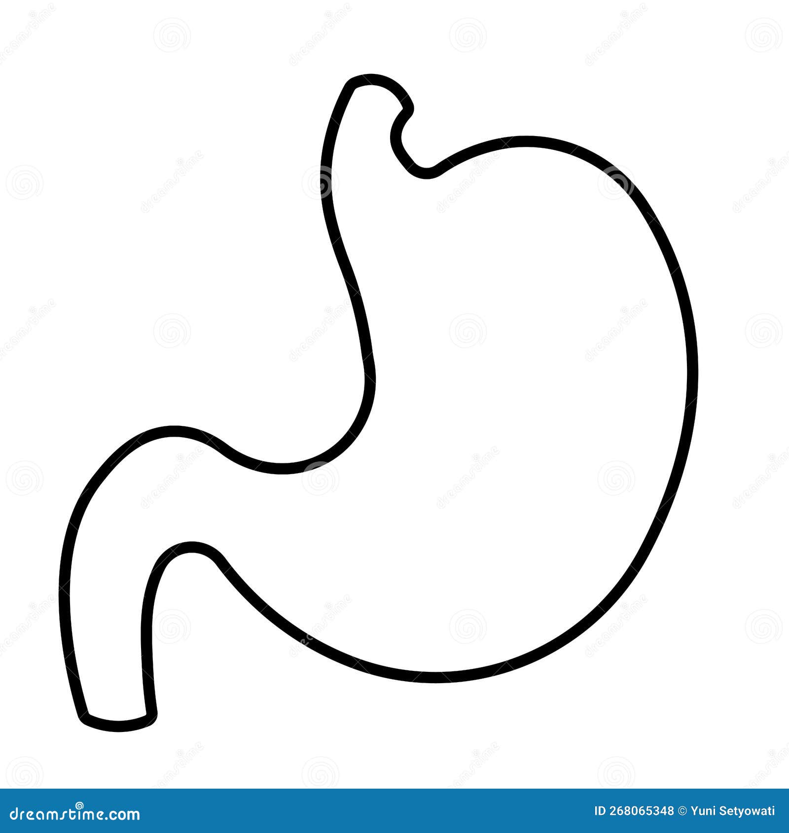 Black Line Stomach Icon for Human Anatomy Organ Symbol PNG Illustration ...