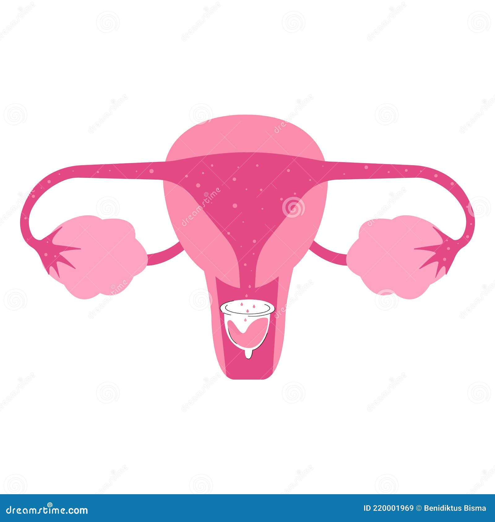 Flat Illustration of Menstrual Cup Usage Stock Vector Illustration of female, health 220001969