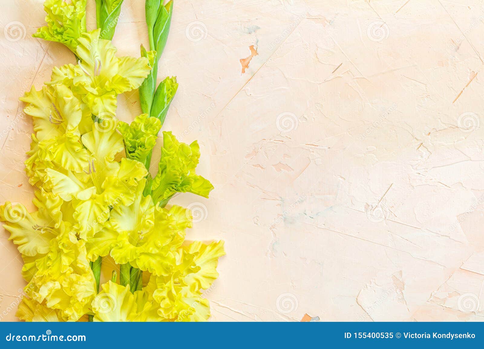 Фон для открытки гладиолусы