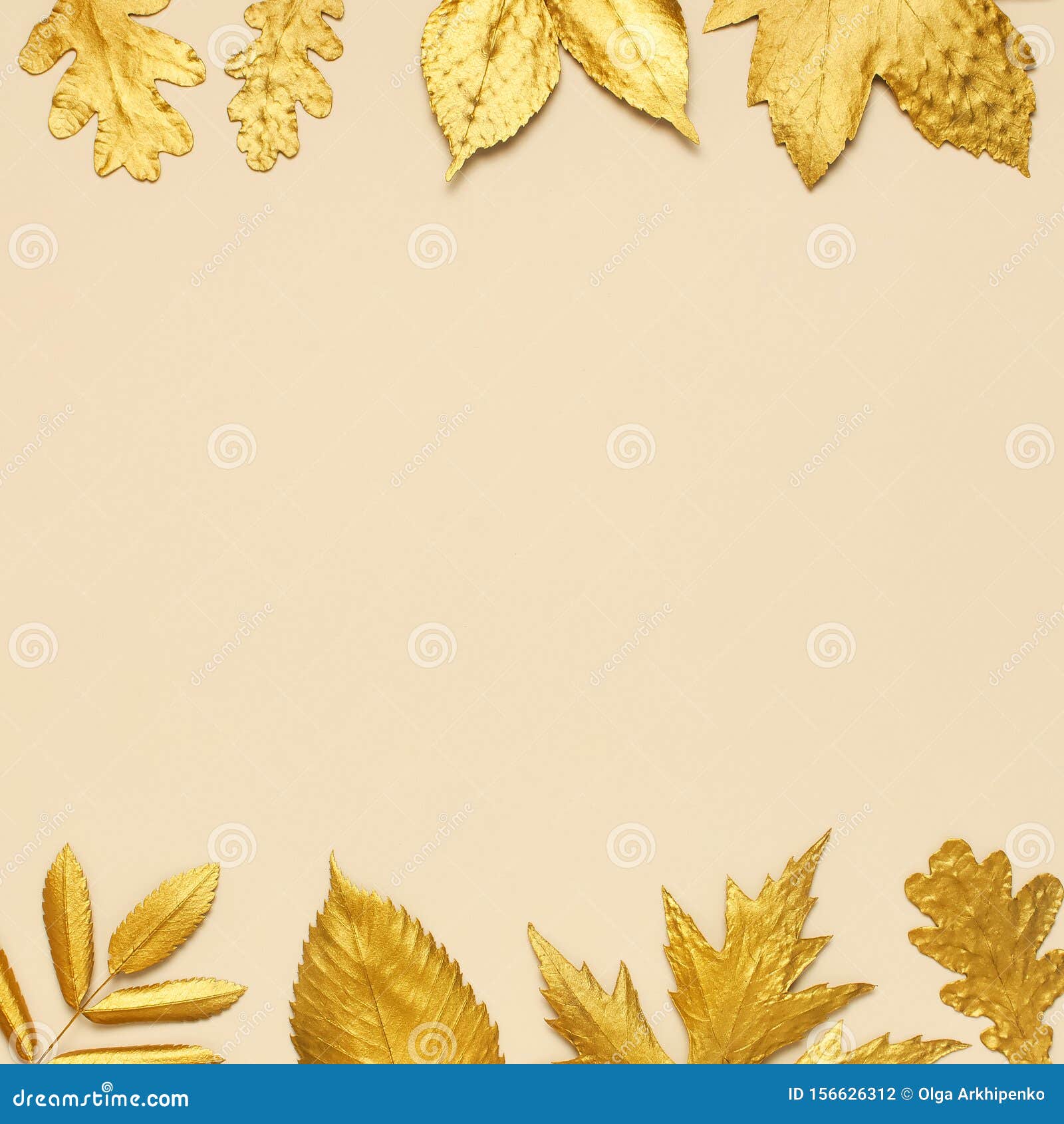 Border of gold leaves on beige background - Free Photo (4BjzX4) - Noun  Project