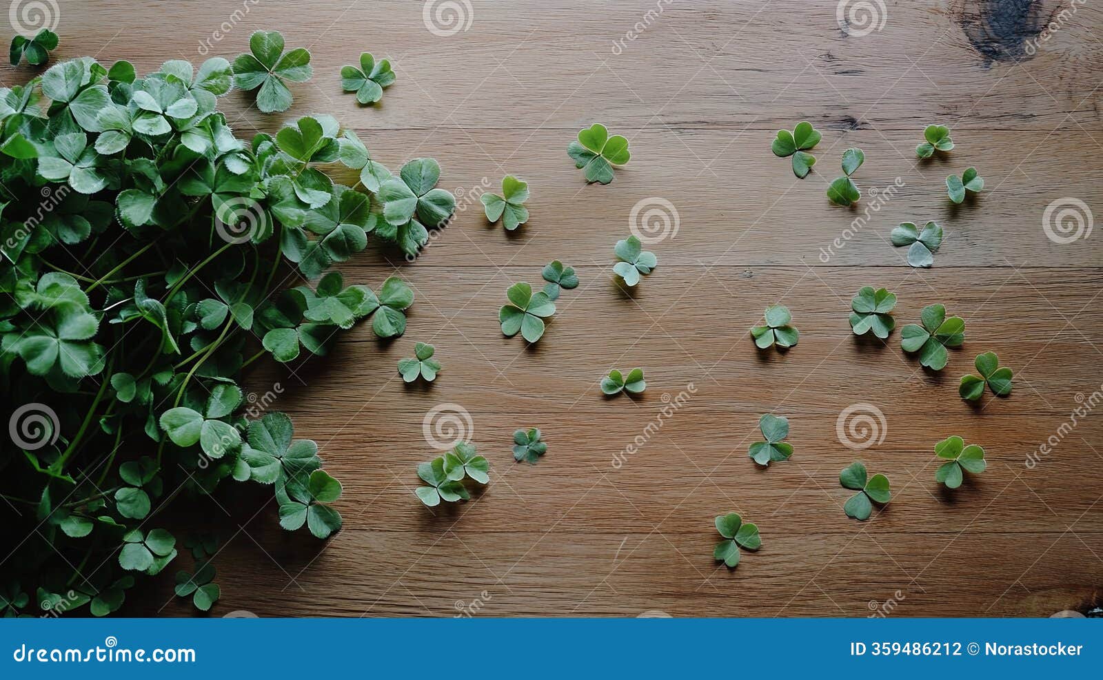 flat lay of delicate clover leaves on a wooden table, ireland