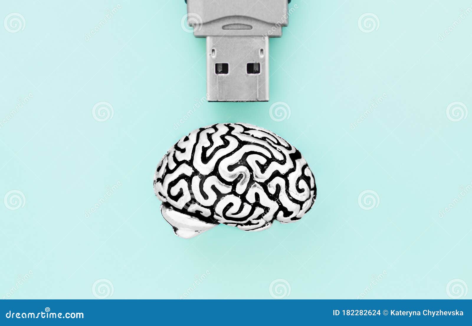thebrain 9 flashdrive thebrain 9 flashdrive
