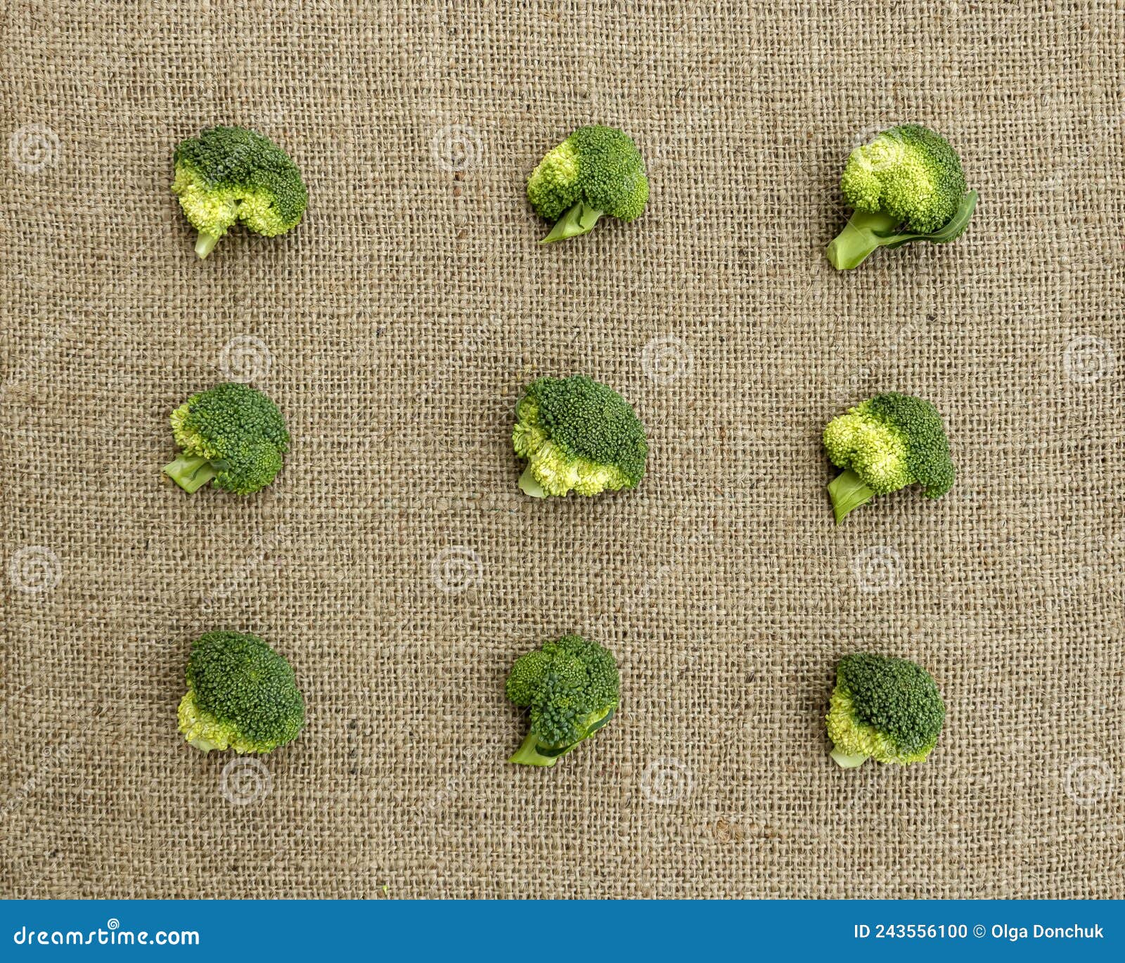 Broccoli Heads on Burlap Fabric Stock Photo Image of broccoli, health