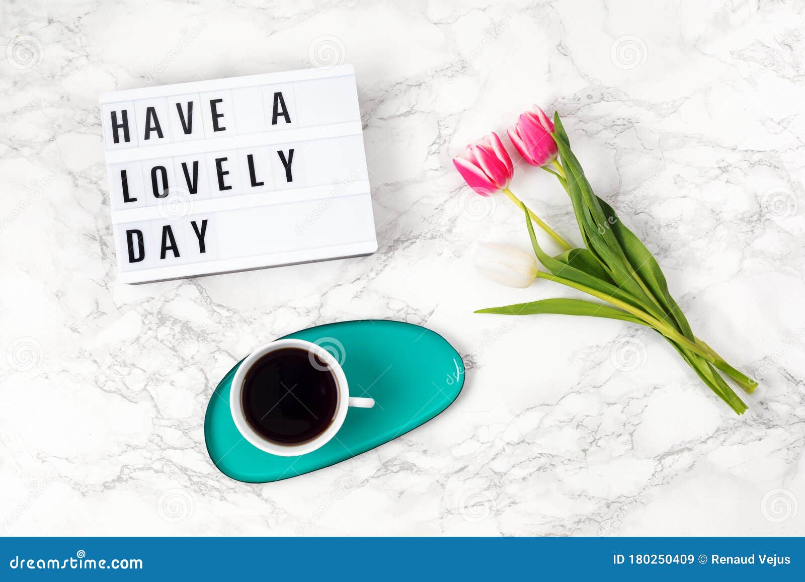 flat lay with lightbox with text have a lovely day and coffee cup. social media, motivation quote, feminine blog, morning of