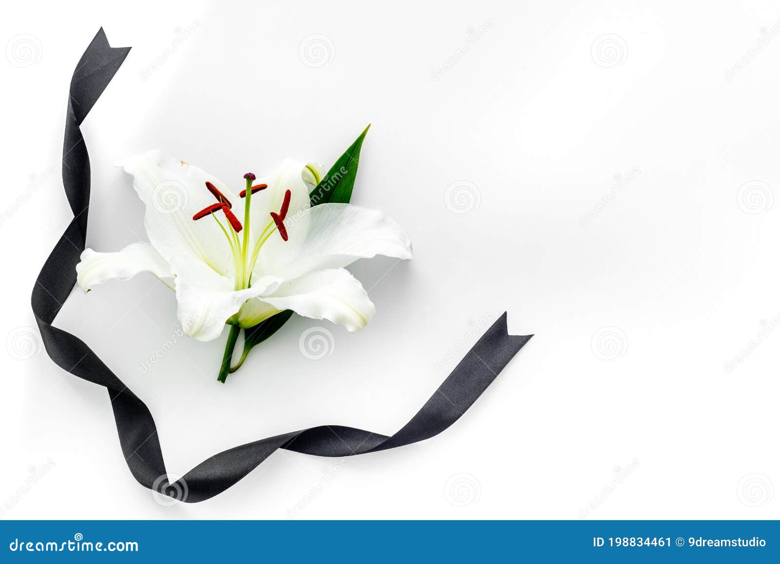 Flat Lay of Lily Flowers and Black Ribbon. Funeral Symbol Stock Image ...