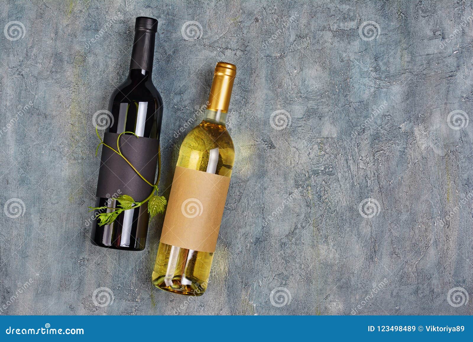 Flat Lay of Lying Organic Wine Bottles with Empty Labels and Green Vine Stock Image Image of