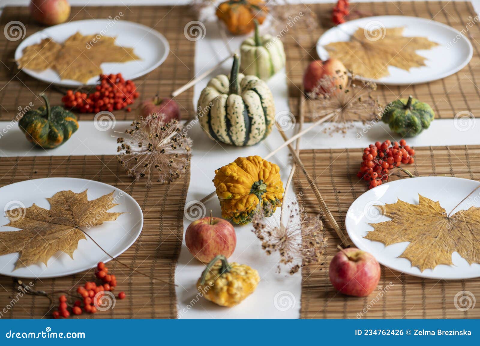 Flat Lay of Small Pumpkins and Dry Brown Maple Leafs on White Plates ...