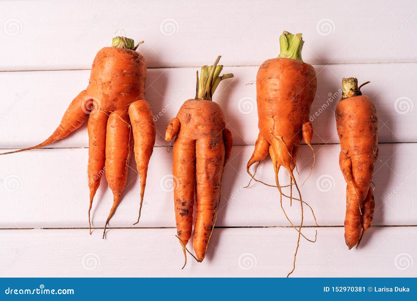 Some Ugly Curved Carrots On White Wooden Background Stock Image - Image of ...
