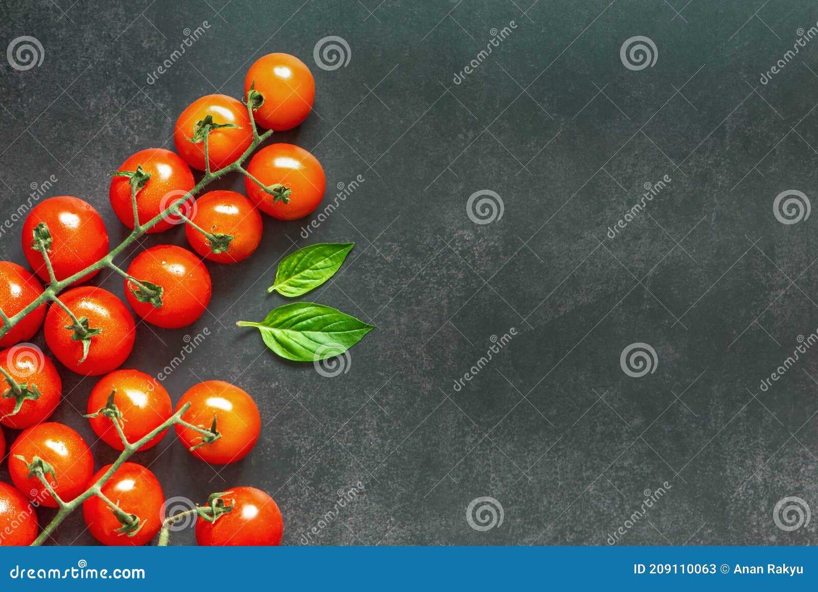 Flat Lay or Top Table Shot of Various Spices for Cooking with Vine Tomatoes Basil Leaf on Black
