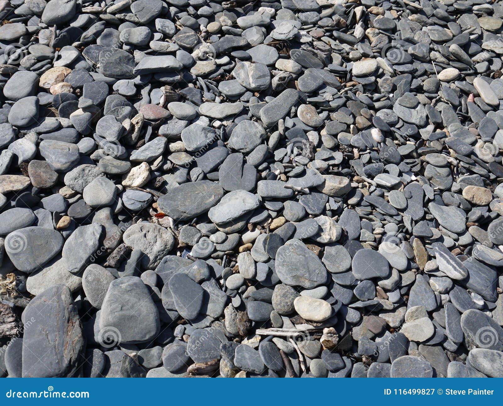 Flat Rocks, Sticks, Twigs and Stones Stock Image - Image of