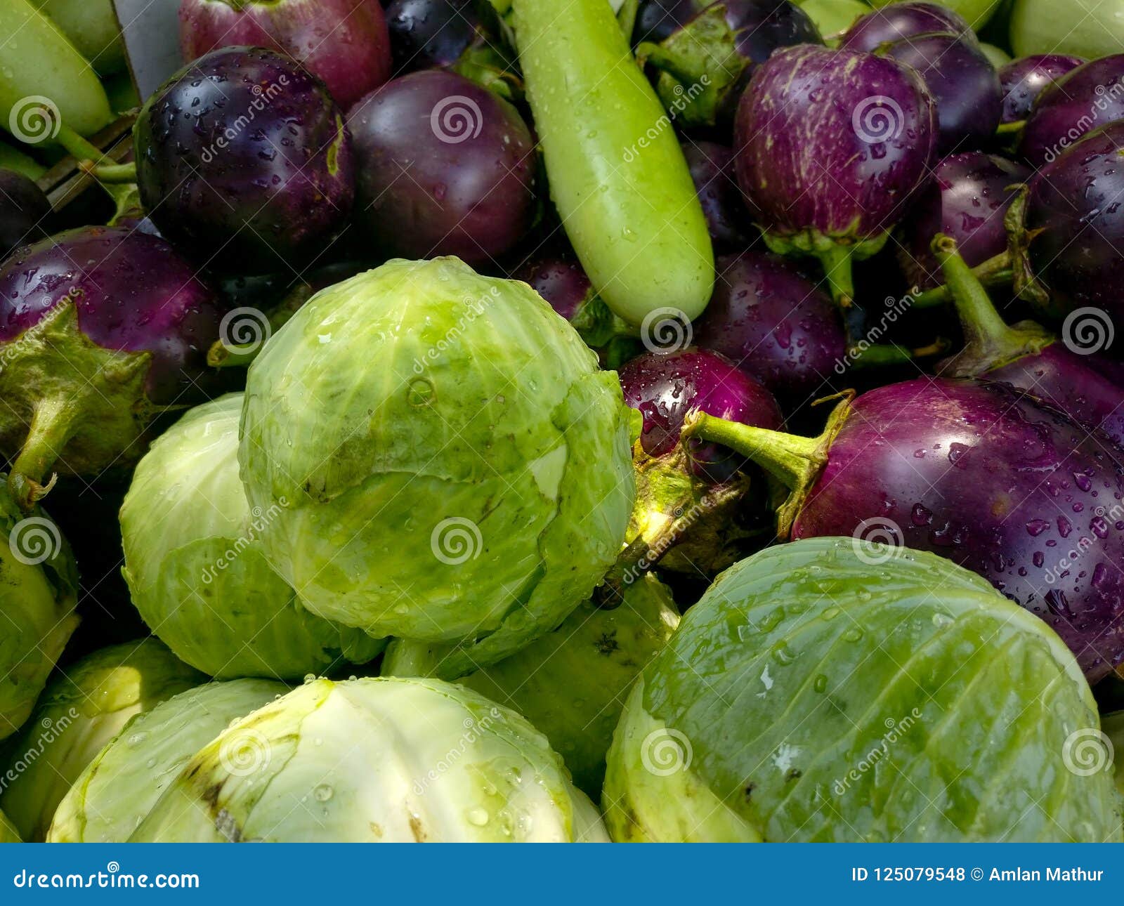 Flat Shot Of Brinjals Loki Bottle Gourd Cabbage Laid Out Stock Photo Image Of Tomato Organic Flat Shot Of Brinjals Loki Bottle Gourd Cabbage Laid Out Stock Photo Image Of Tomato Organic