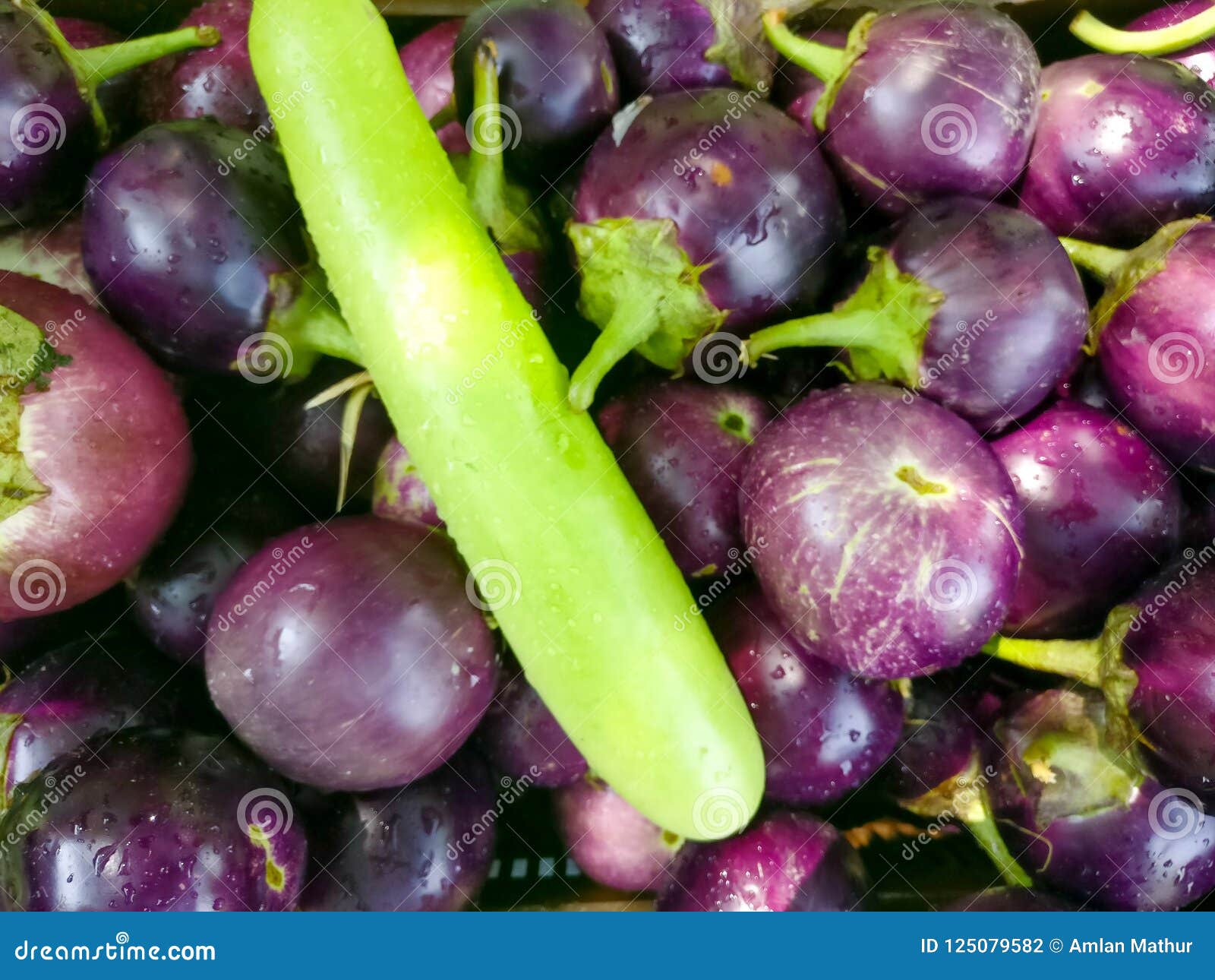 Flat Shot Of Brinjals Loki Bottle Gourd Cabbage Laid Out Stock Photo Image Of Food Organic Flat Shot Of Brinjals Loki Bottle Gourd Cabbage Laid Out Stock Photo Image Of Food Organic