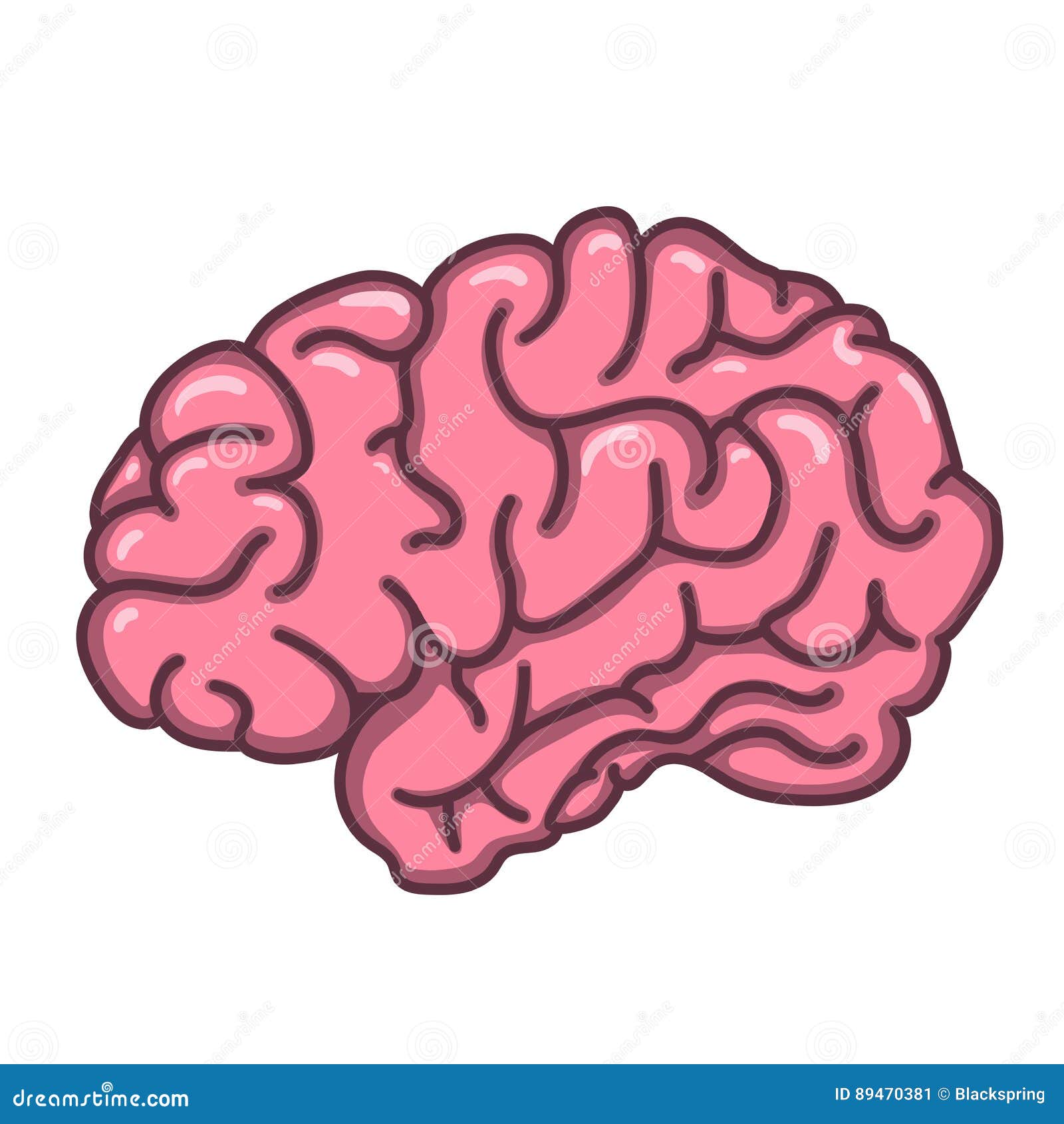 Flat Style Human Brain Illustration Stock Vector - Illustration of ...
