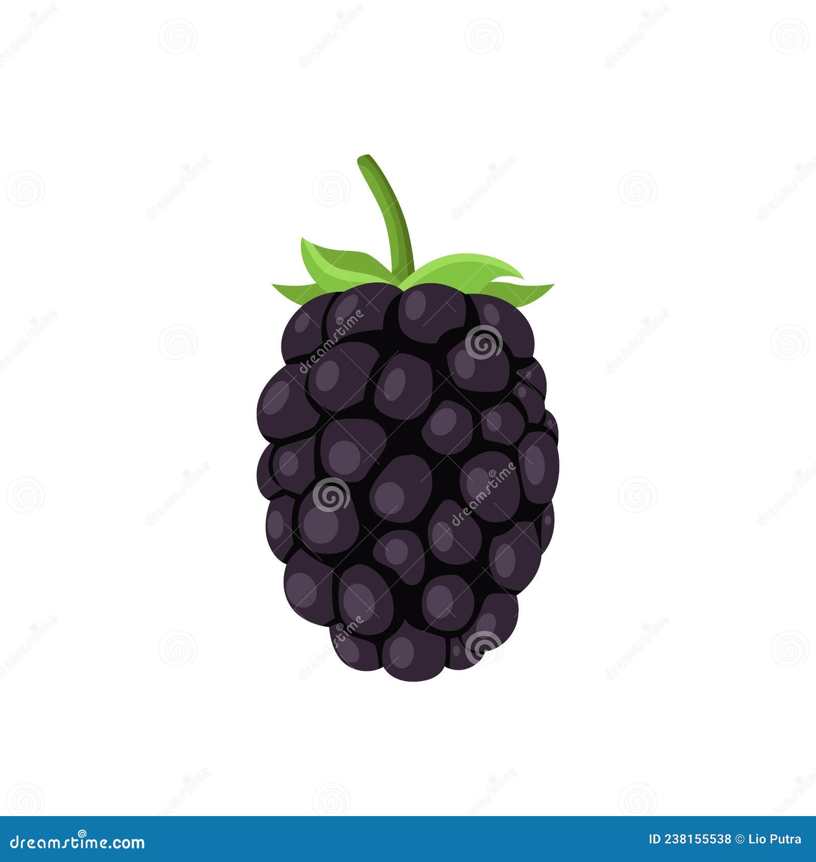 Flat Vector of Boysenberries Isolated on White Stock Vector