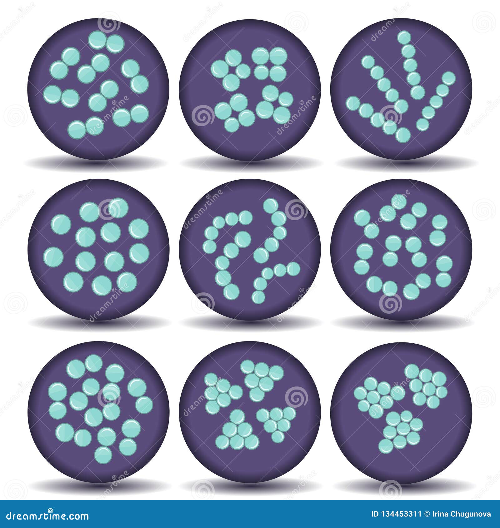 Arrangements of Green Coccus Bacteria in Petri Dish. Stock Vector -  Illustration of green, disease: 134453311
