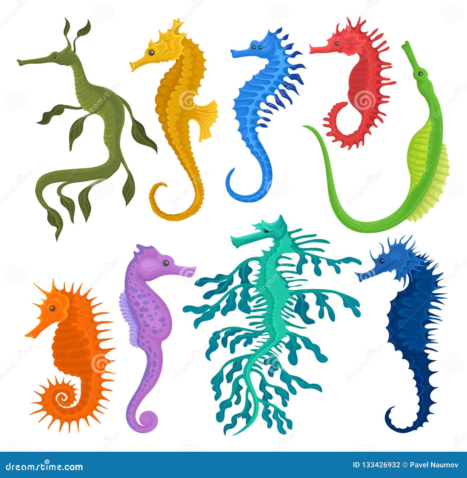 Flat Vector Set of Different Species of Seahorses. Small Marine Fishes. Exotic Sea Animals Stock Vector - Illustration of element, exotic: 133426932 Flat Vector Set of Different Species of Seahorses. Small Marine Fishes. Exotic Sea Animals Stock Vector - Illustration of element, exotic: 133426932