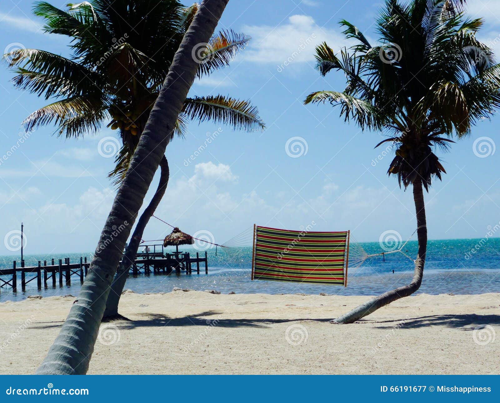 flattering hammock between two palms