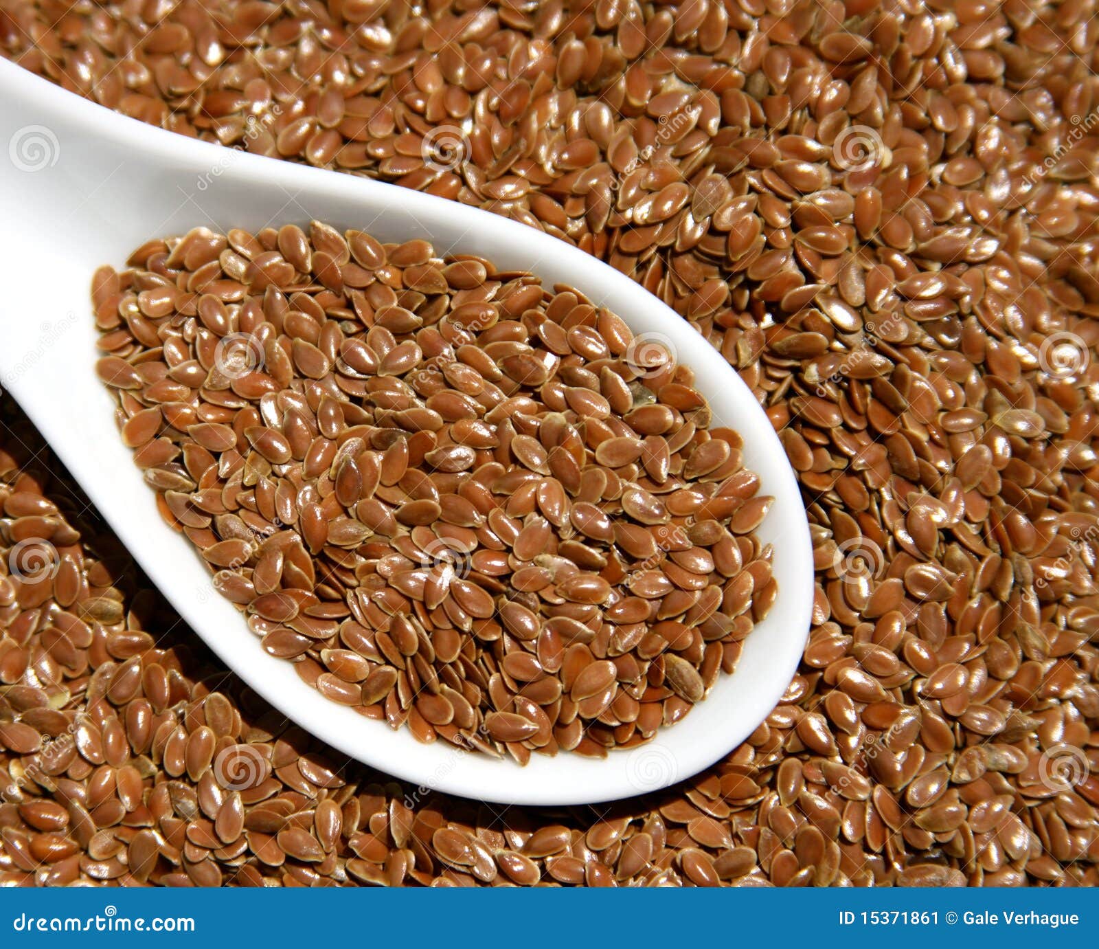 Flax Seed stock image. Image of lignans, nutritious, omega 15371861