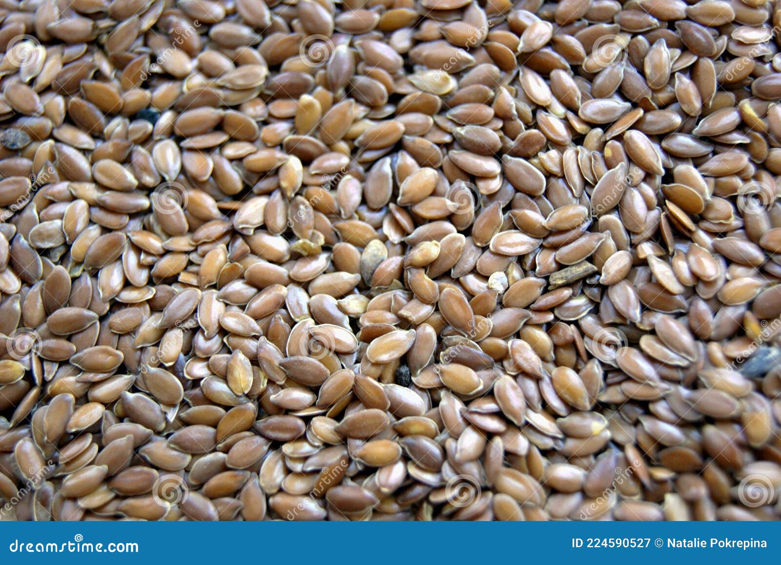 Flax seeds for smoothies stock image. Image of seeds 224590527