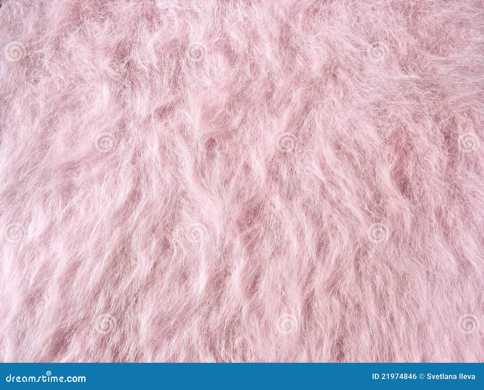 Fleecy rosa woolen för angoratorkduketyg. Woolen angoratorkduketextur