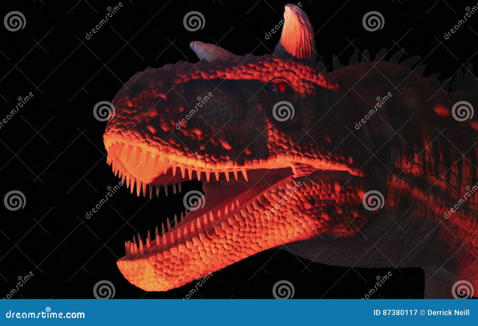 A Flesh Eating Carnotaurus Dinosaur in Red and Black Stock Image
