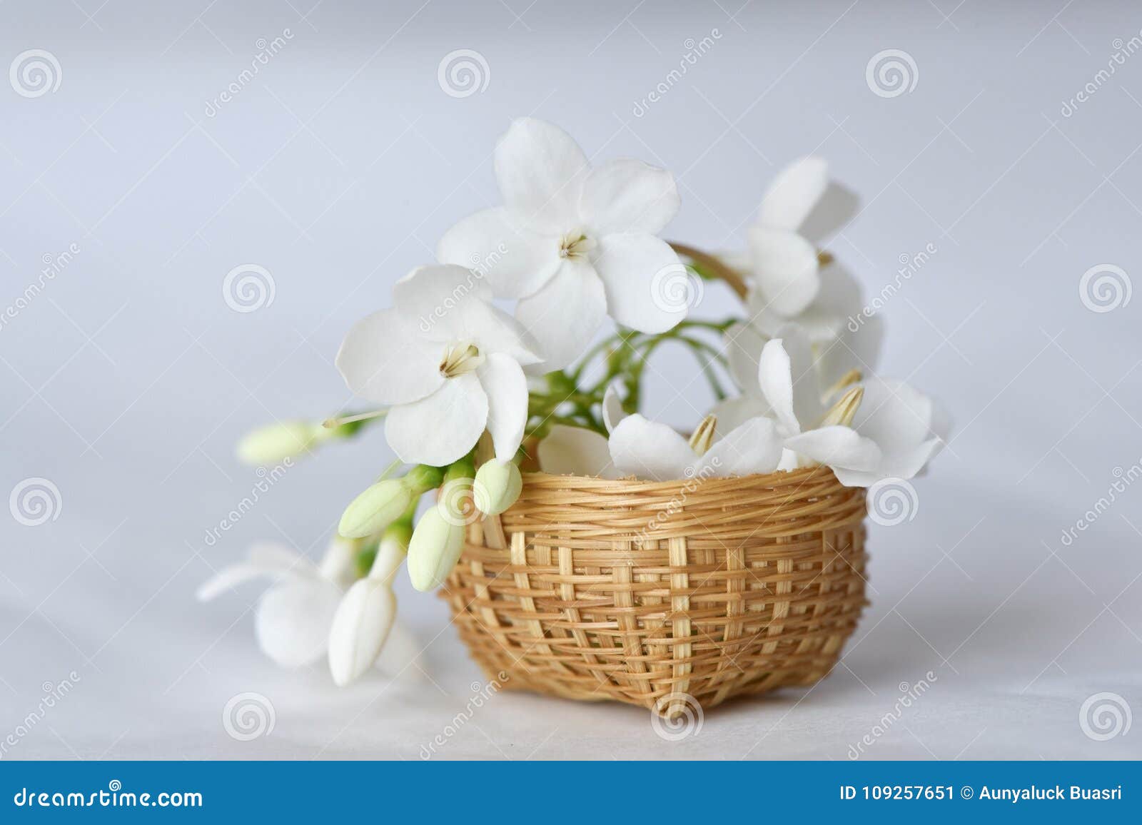 Fleur Blanche Dans Le Panier En Bambou Minuscule Image stock - Image du  miniature, fleur: 109257651