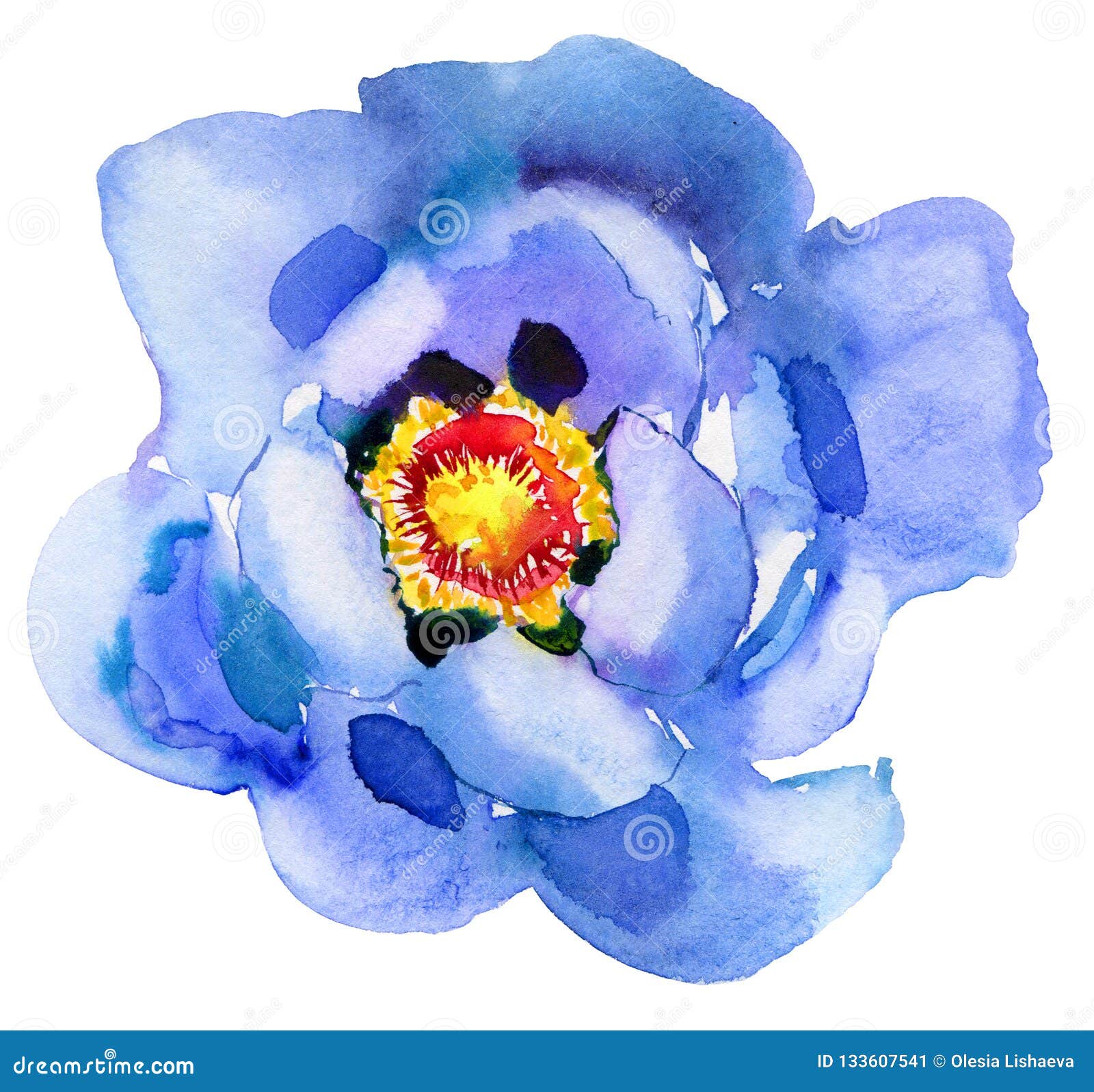 Fleur Bleue Peinture D'aquarelle Belle Fleur D'aquarelle Illustration Stock  - Illustration du beau, illustration: 133607541