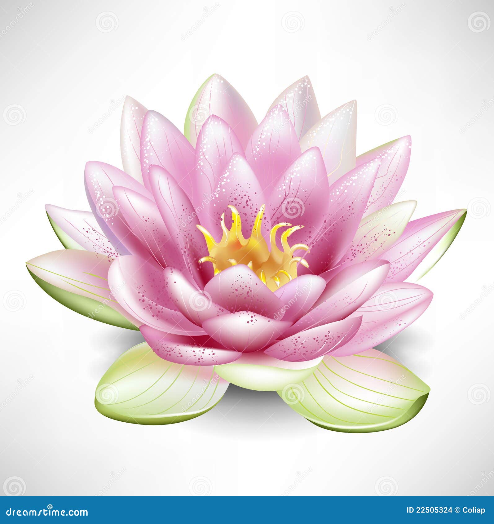 Dessin Fleur De Lotus à Imprimer Fleur De Lotus De Floraison Simple Illustration de Vecteur