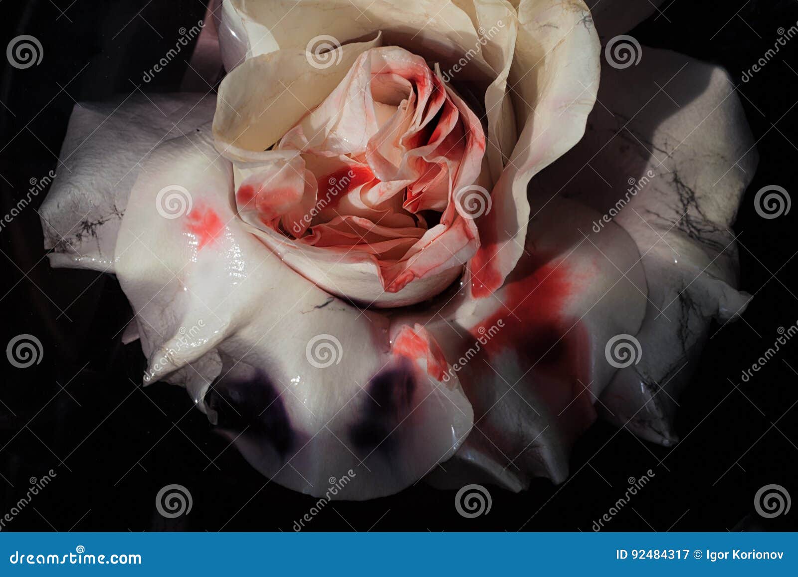 la fleur ensanglantée la fleur ensanglantée