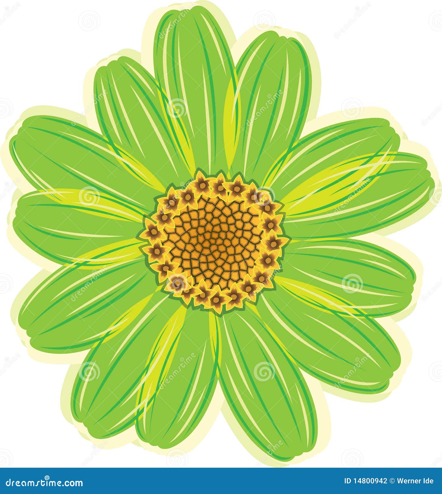 Fleur verte de marguerite illustration de vecteur. Illustration du