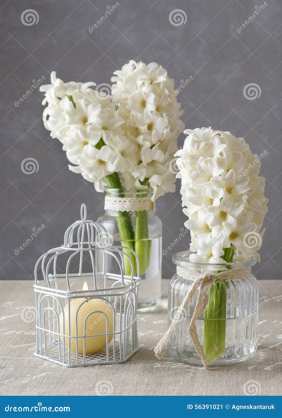 Fleurs Blanches De Jacinthe Dans Des Pots En Verre Image stock - Image du  fleuriste, communion: 56391021