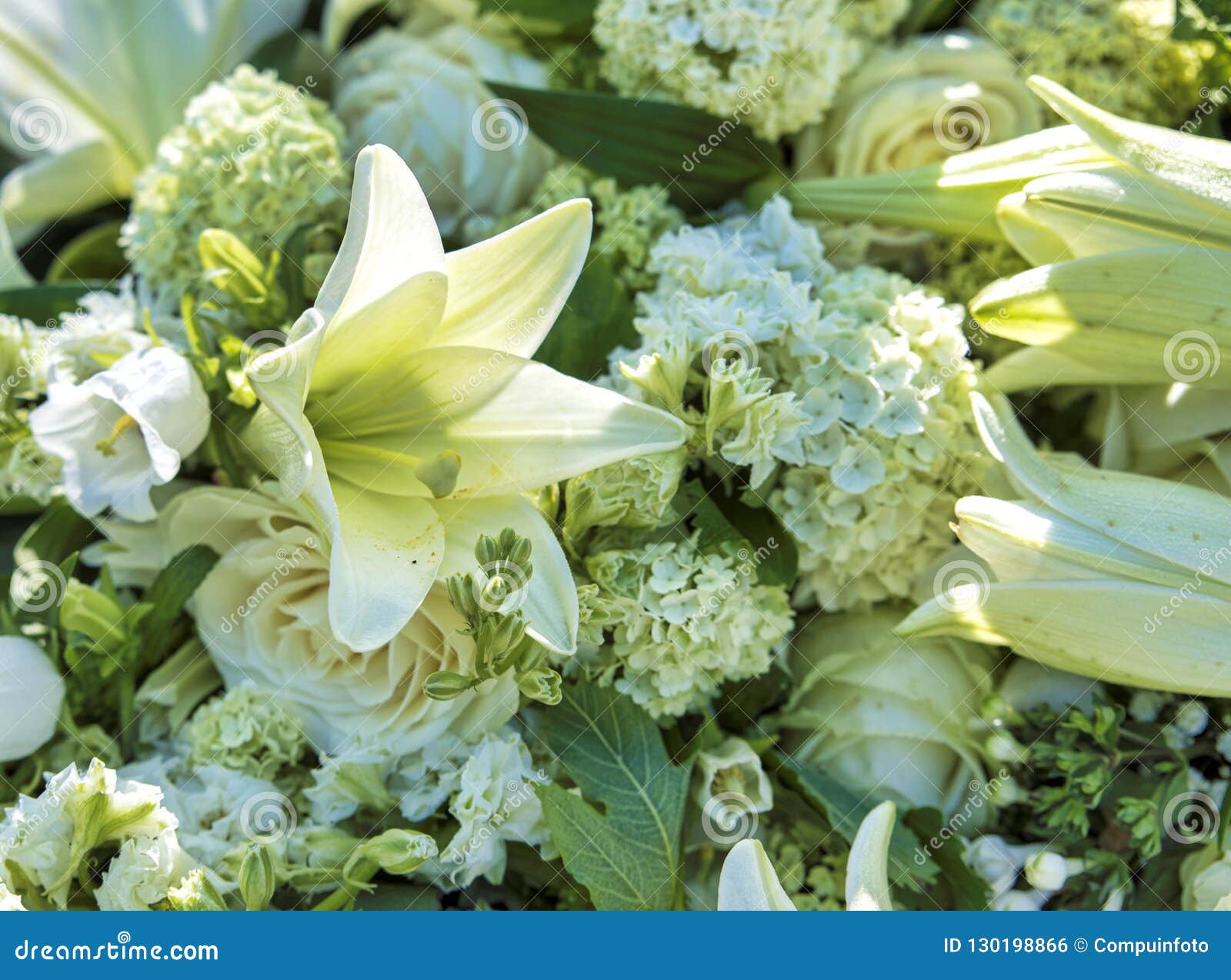 Fleurs Blanches Pour L'enterrement Photo stock - Image du commémoratif,  enterrement: 130198866