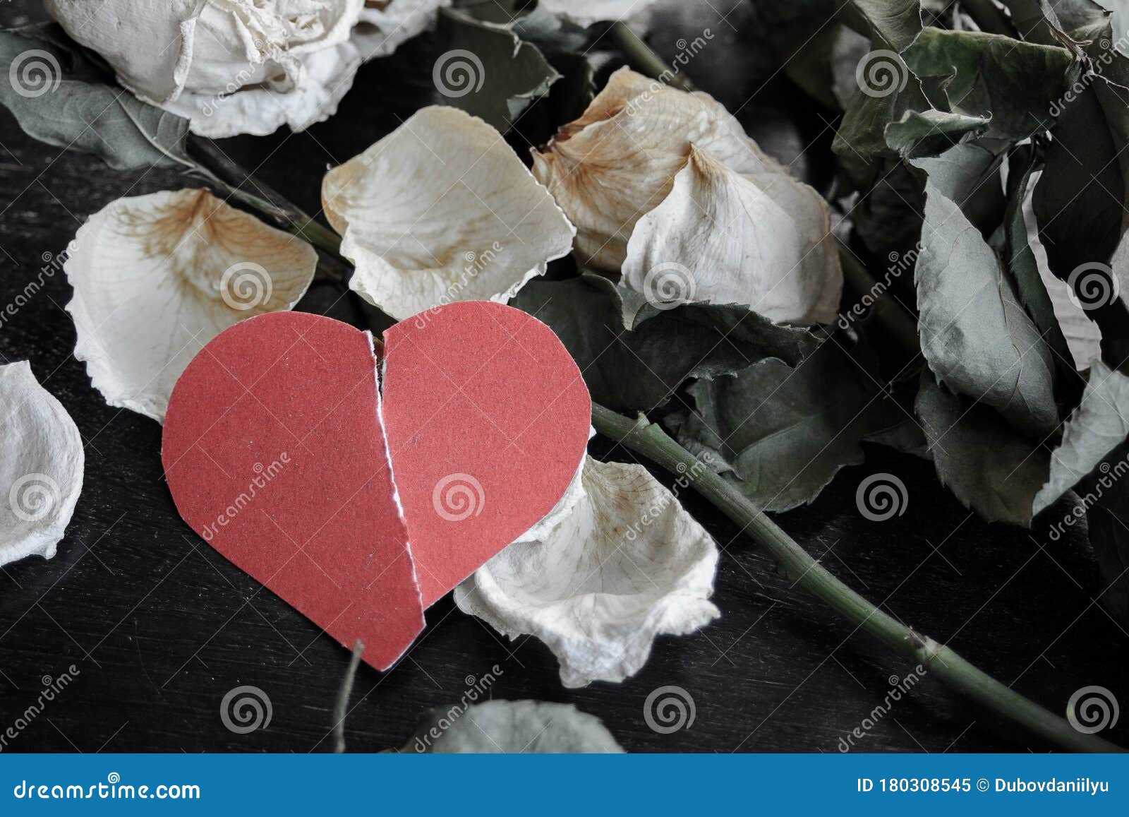 Fleurs Declinees Mortes Roses Avec Un Coeur De Papier Dechire Rouge Comme Symbole D Amour Rate Adieu Coeur Brise La Fin De Image Stock Image Du Enfonce Fonce