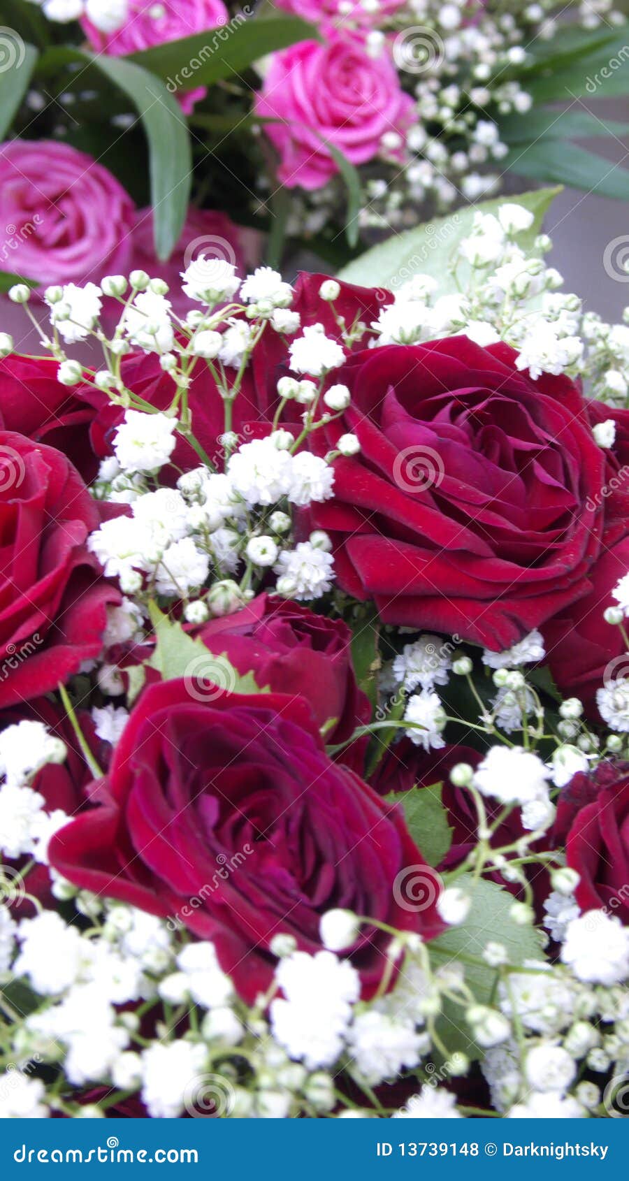 Fleurs d'amour photo stock. Image du durée, amour, lame - 13739148