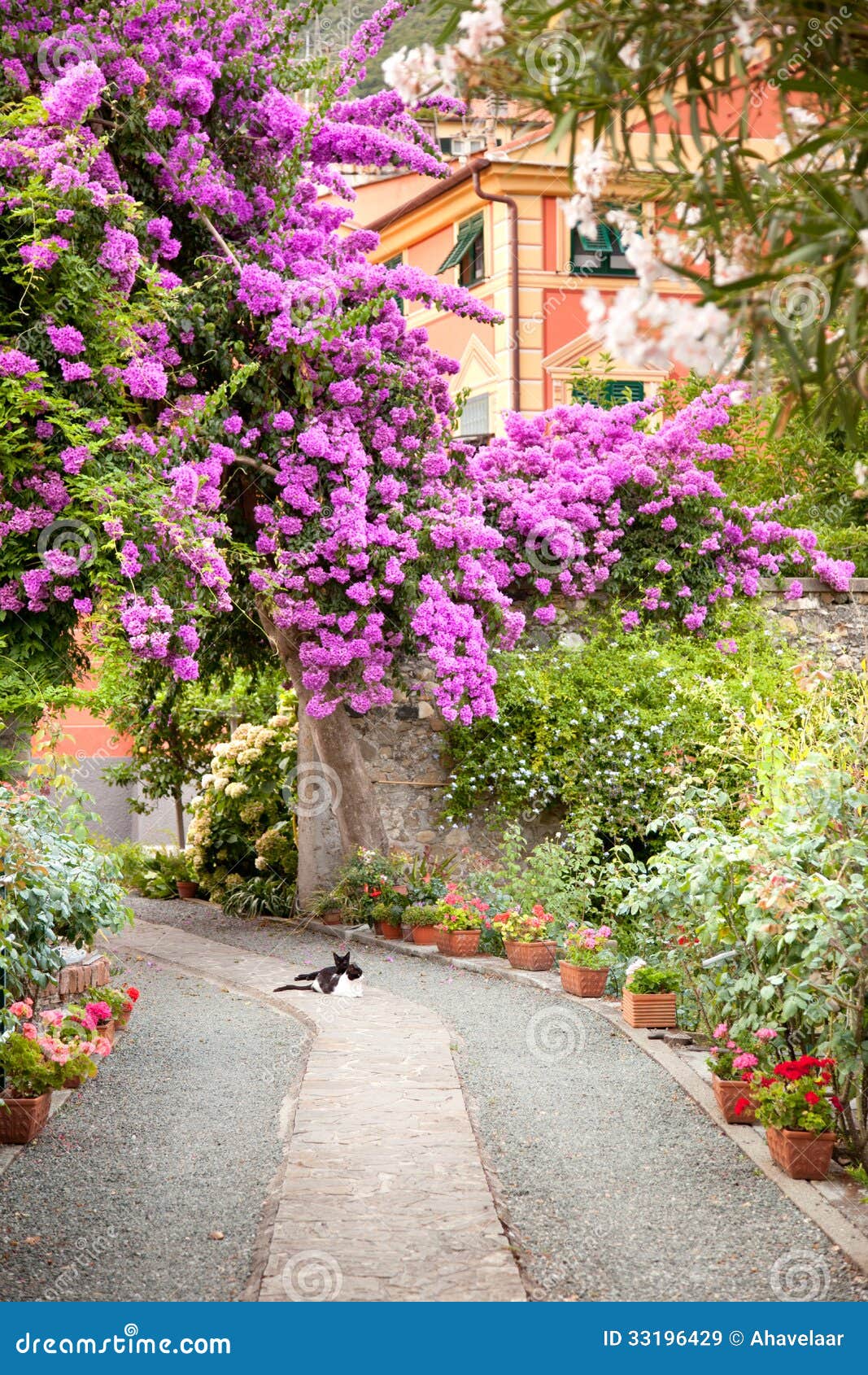 Fleurs Dans Le Jardin En Italie Image Stock Image Du Italie Dans 33196429