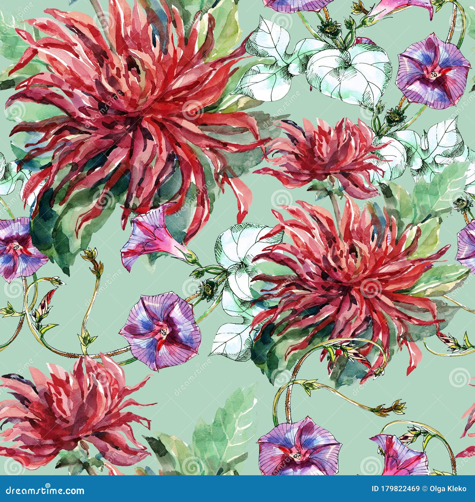 Fleurs De Dahlia Et De Peinture Liseron Dans L'aquarelle. Modèle  Transparente Pour La Déco. Illustration Stock - Illustration du décoratif,  élégance: 179822469