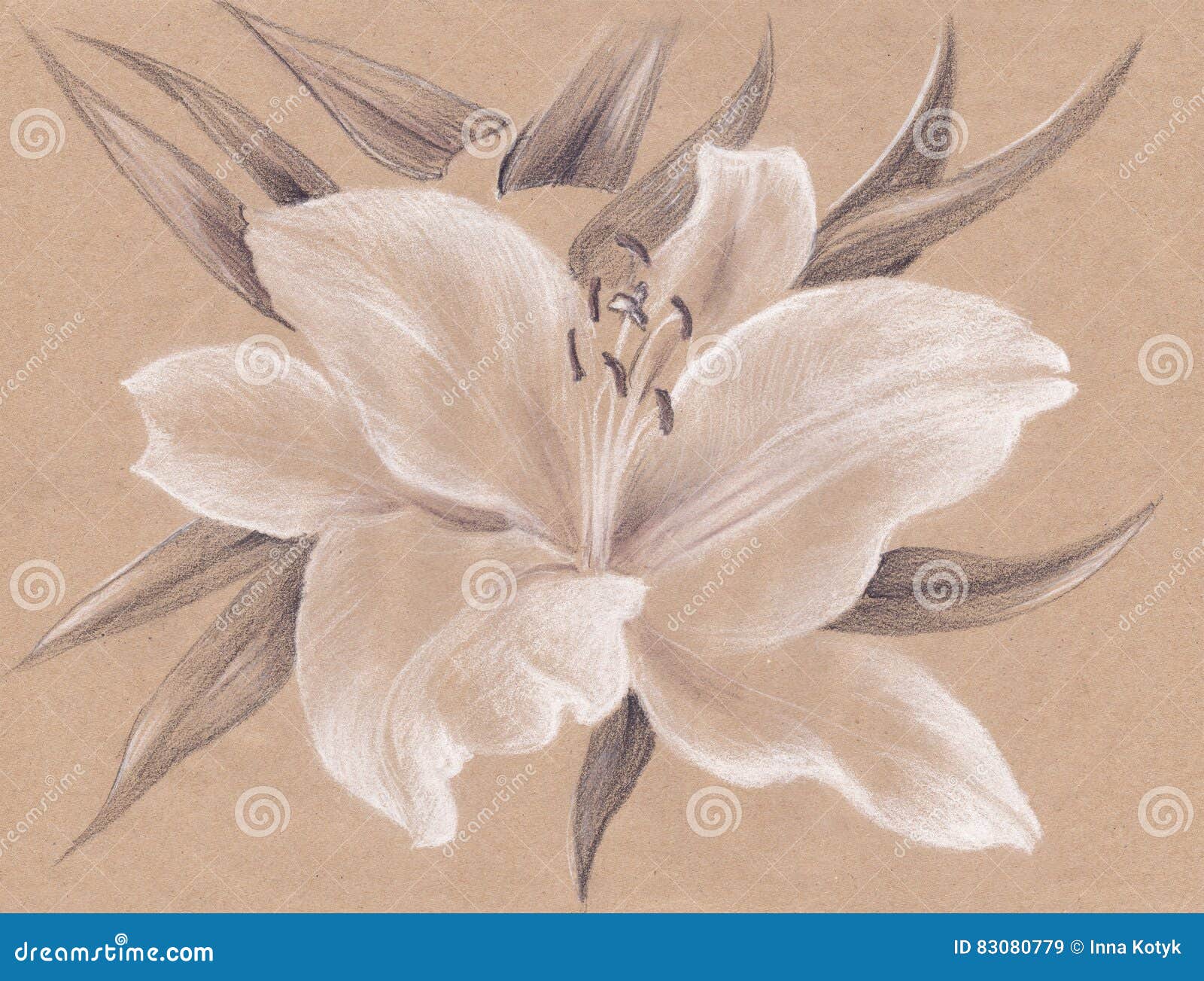 Fleurs De Lis Papier Peint Pastel De Dessin Illustration